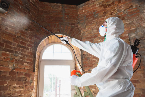 Why You Should Choose Our Mold Remediation Services in Clinton, NC